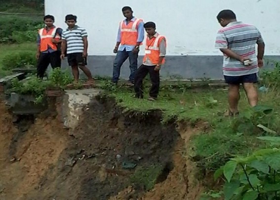 Hatchling recovered from highway at Udaipur, erupts tension with Kalyansagar turtles